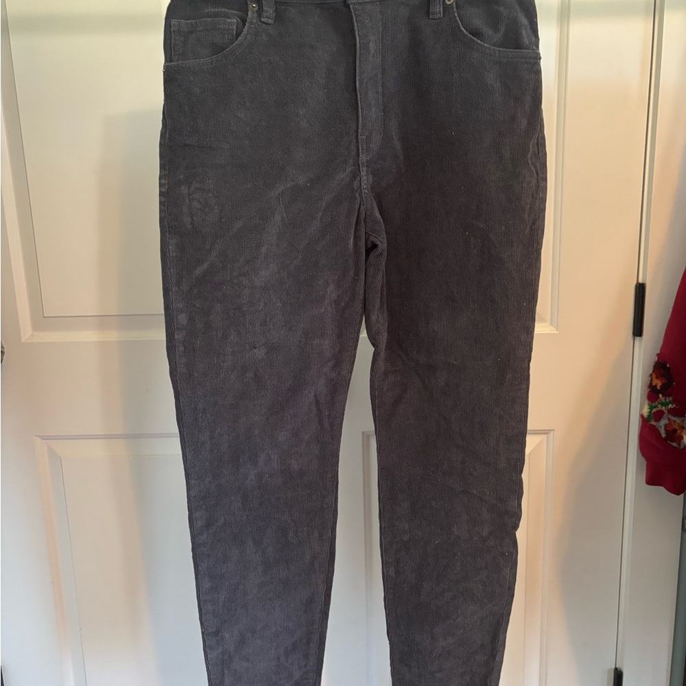 Patagonia Gray Skinny Pants